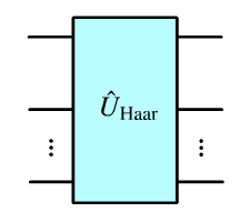 image6