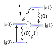 image1